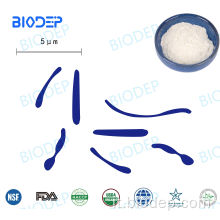Bifidobacterium Breve sano e nutriente 250b CFU/G